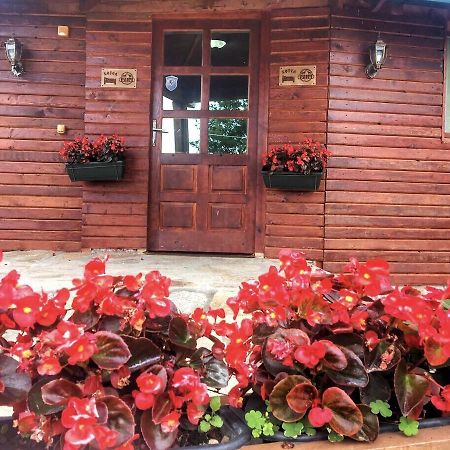 Motel Etno Restoran Ranc Radibus Zewnętrze zdjęcie